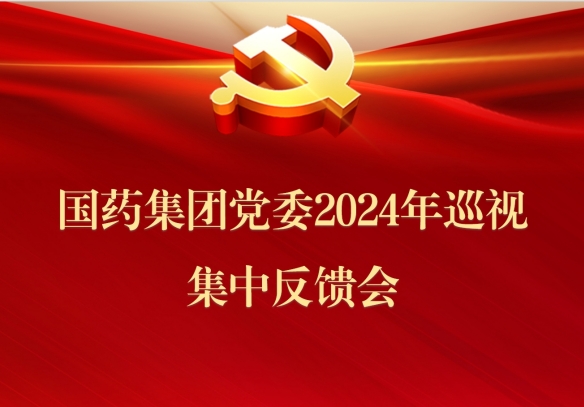 利记sbobetAPP官网集团党委召开2024年巡视集中反馈会议